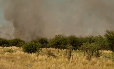 Fuego en la zona de Jagüel del Monte