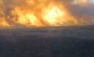 Informe del INTA: ya se quemaron 282.283 has en La Pampa