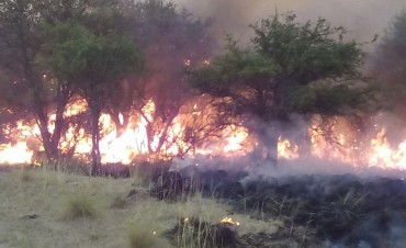 Se incendió un campo de Luan Toro
