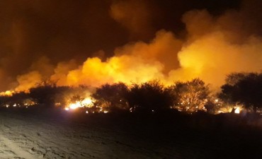 Incendios: se le abrió un sumario a Tierno