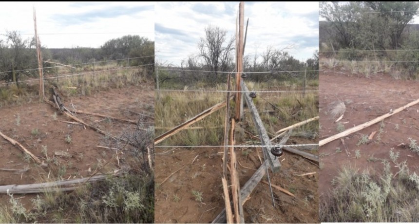 Centella provocó daños en Línea Eléctrica de La Pastoril