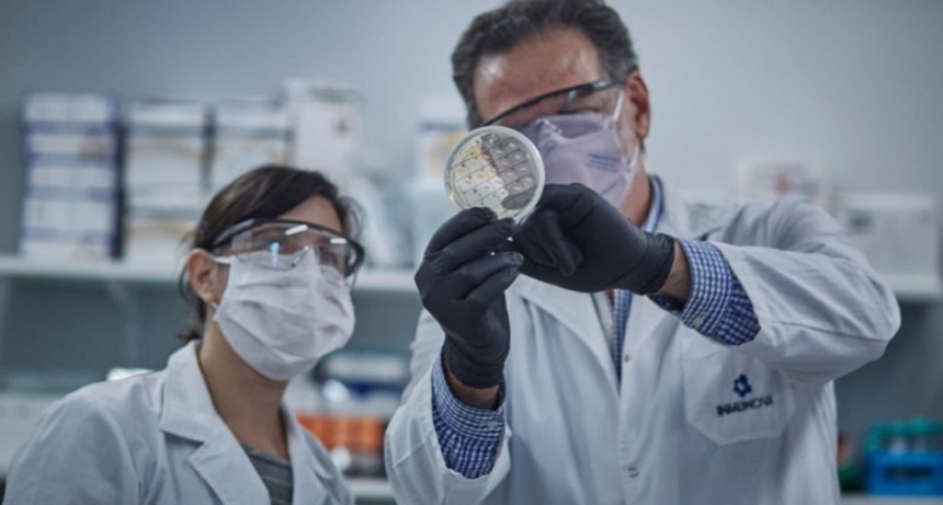 Comienza la distribución del suero equino hiperinmune contra el coronavirus desarrollado en Argentina