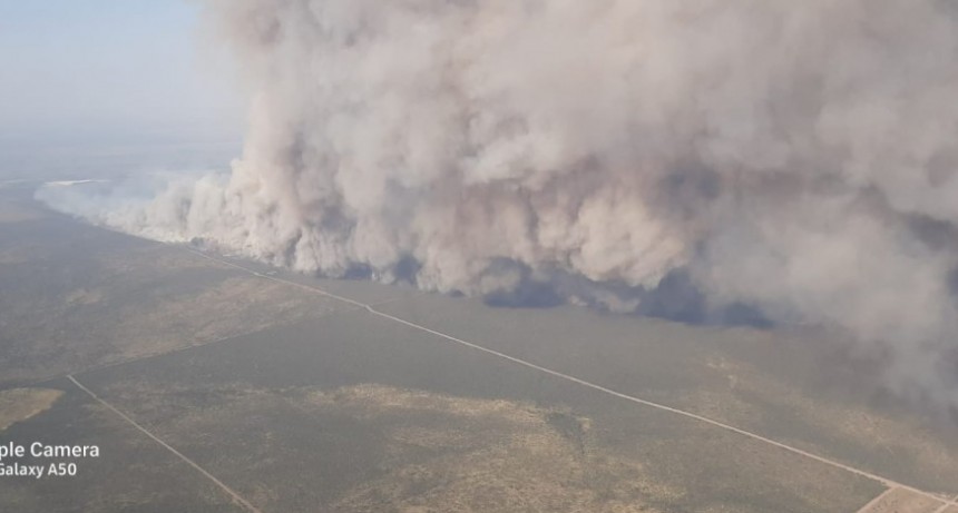 Nueve incendios en La Pampa: De esos 9, seis son dudosos su origen