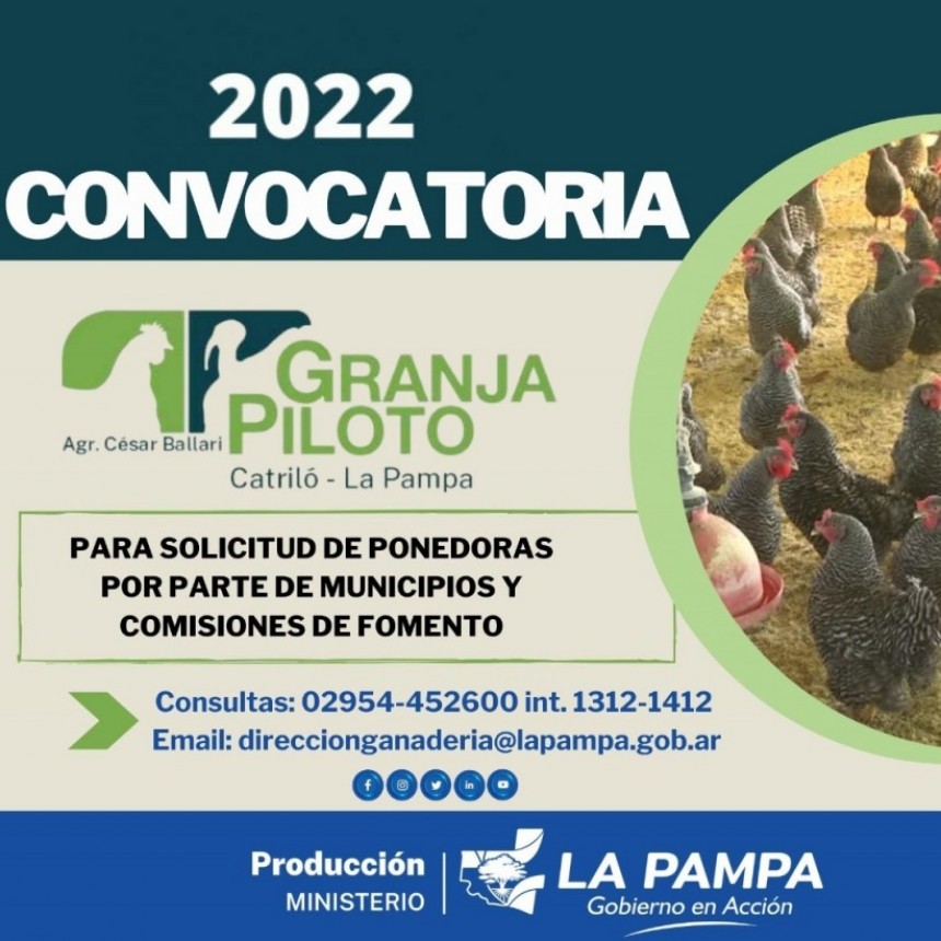 Municipios y comisiones de Fomento de La Pampa ya pueden solicitar gallinas ponedoras 