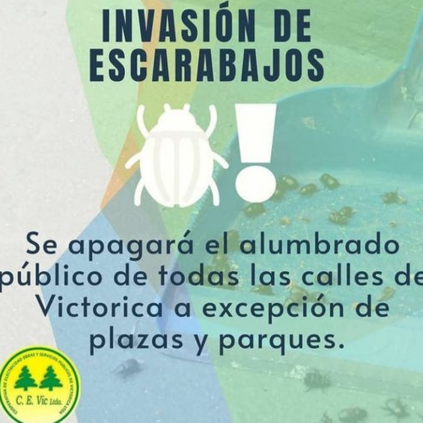 VICTORICA: POR LA INVASIÓN DE CASCARUDOS APAGAN EL ALUMBRADO PÚBLICO