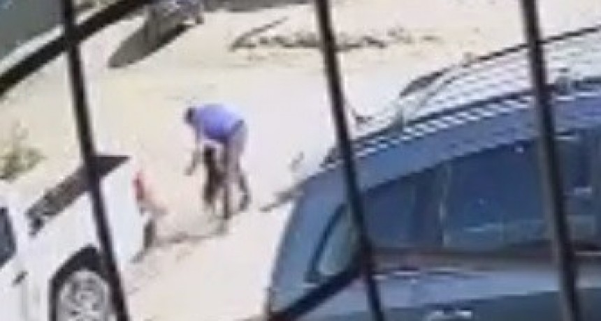 MATÓ A CUCHILLAZOS AL PITBULL QUE HABÍA ATACADO A SU HIJO (VIDEO)