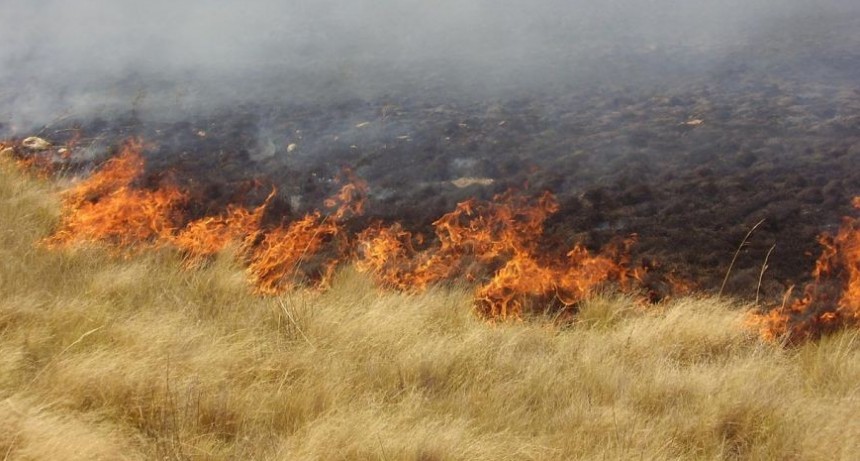 Un incendio ingresó desde San Luis y quemó campos en el oeste pampeano