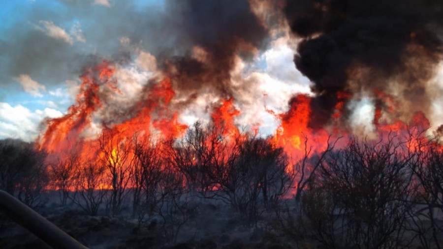 Defensa Civil solicita máxima precaución para prevenir incendios rurales