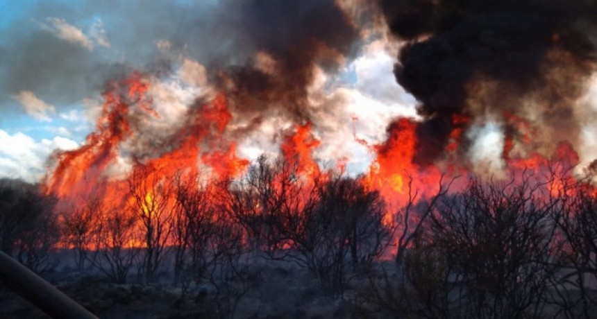 Defensa Civil solicita máxima precaución para prevenir incendios rurales