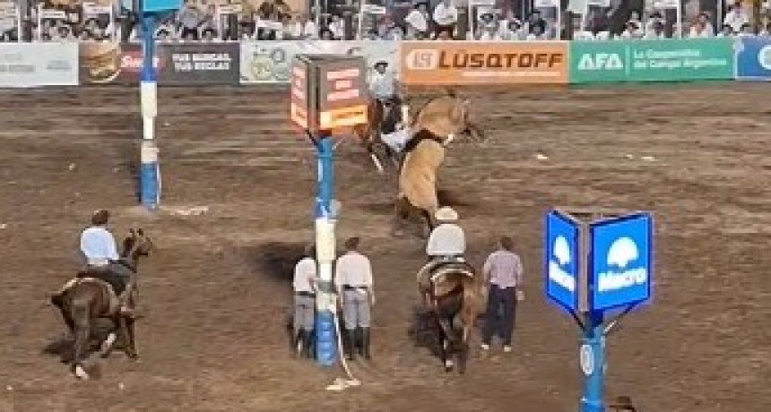 VICTORICA Y LA PAMPA PRENDIDOS A LA TELE