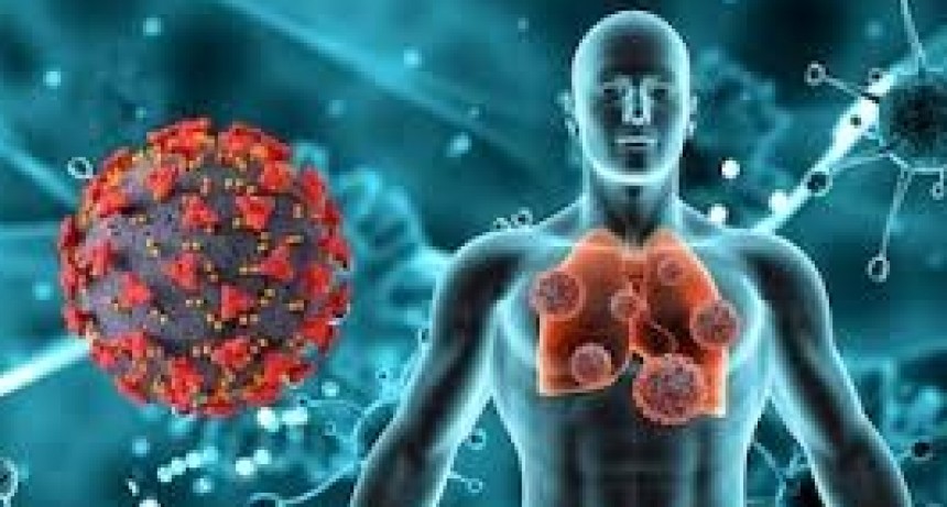 Confirman un caso de Gripe A no autóctono en La Pampa 