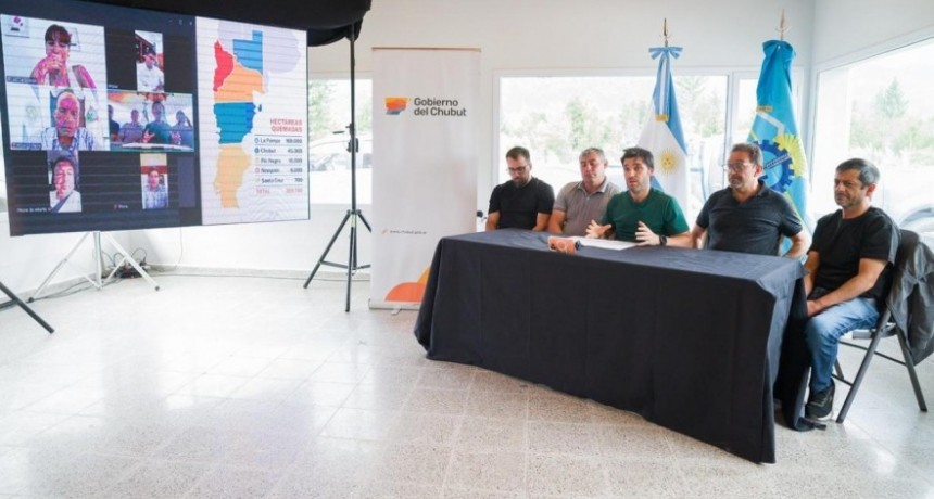 La Pampa adhiere al proyecto de emergencia ígnea en provincias patagónicas 