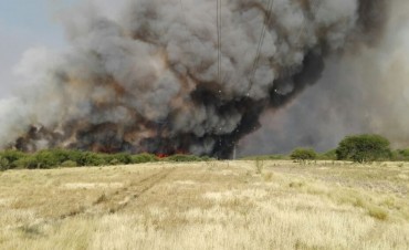 Se activó el foco de incendio en La Adela. Alertan sobre posible intencionalidad
