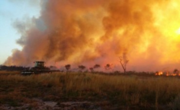 INCENDIOS: DETECTARON NUEVOS FOCOS EN LA PROVINCIA