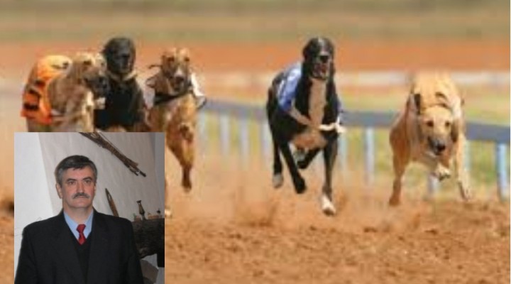 CARRERA DE GALGOS :Es una idiotez prohibir, tienen que volver reguladas, las protectoras no tiene idea de lo que es un animal.