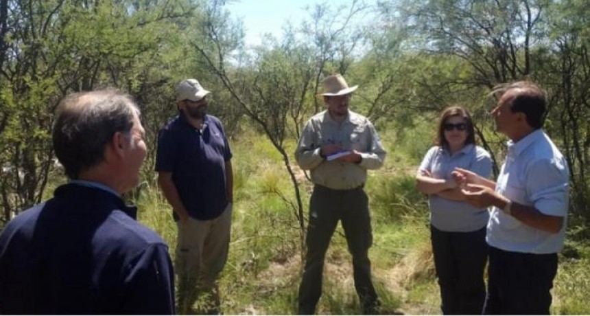Observan intervenciones en bosques naturales en Victorica, Toay y Guatraché