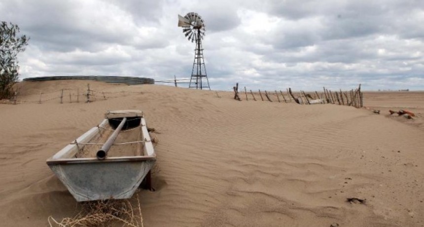 El gobierno declaró la emergencia: El 80% de La Pampa está azotada por la sequía 
