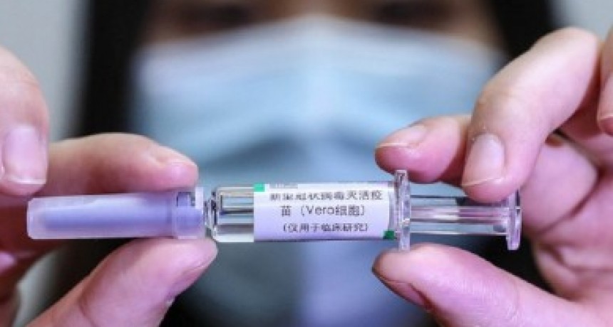 Ventaja logística para las vacunas chinas que llegan mañana: no exigen refrigeración menor a 0° 