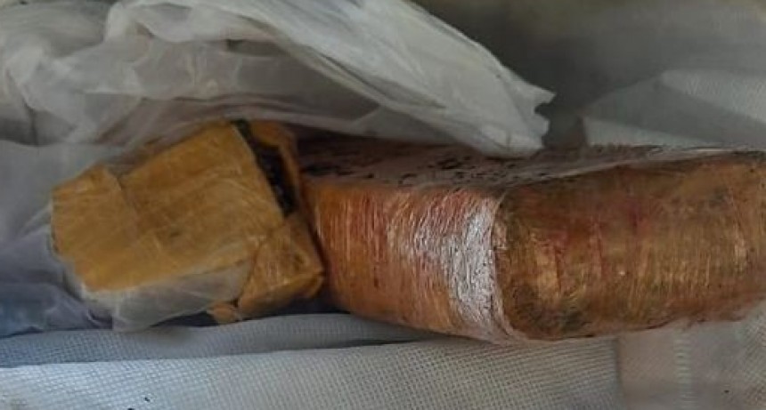 Secuestran 777 gramos de marihuana en un micro que viajaba desde Santa Rosa a General Acha