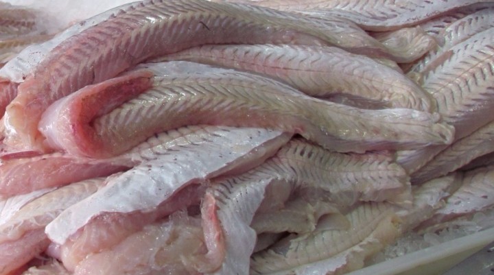 Precio del pescado: “Aumentó un 45% con respecto al año pasado”