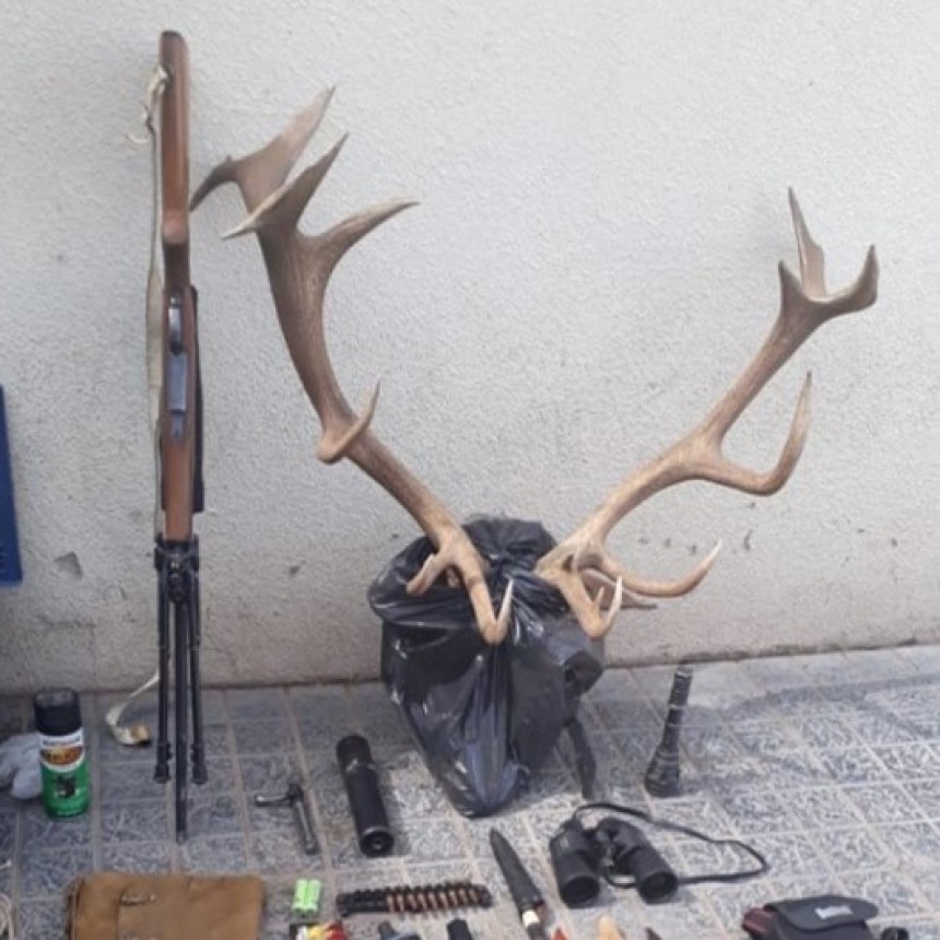 Telen: Furtivos detenidos con un trofeo de 19 puntas y secuestro de vehículo 