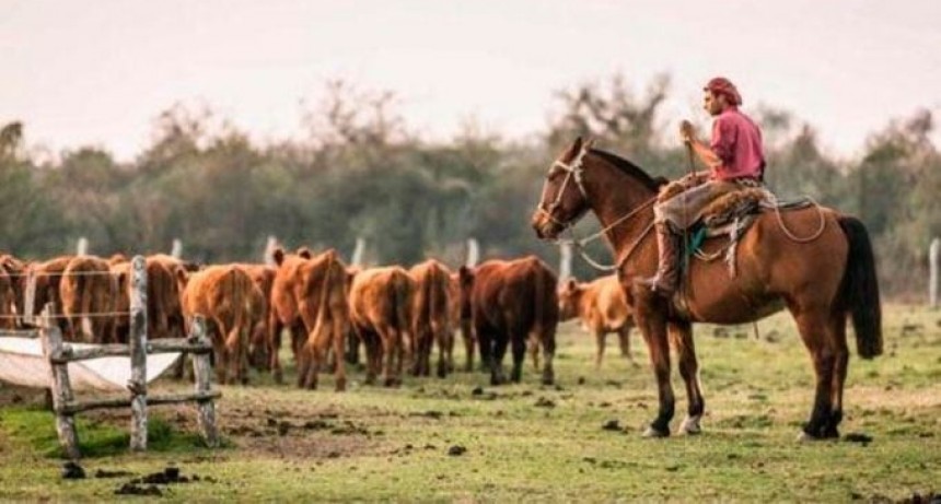Cada vez hay menos establecimientos rurales en La Pampa