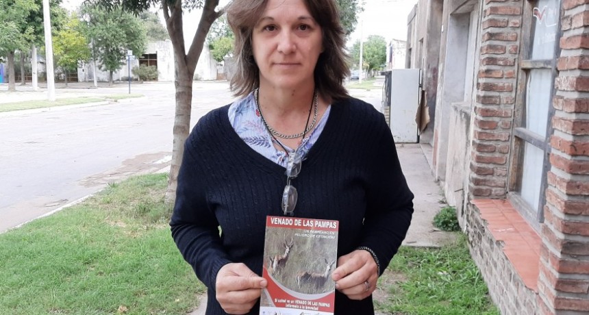 VENADO DE LAS PAMPAS: LA POBLACION SE VIENE RECUPERANDO
