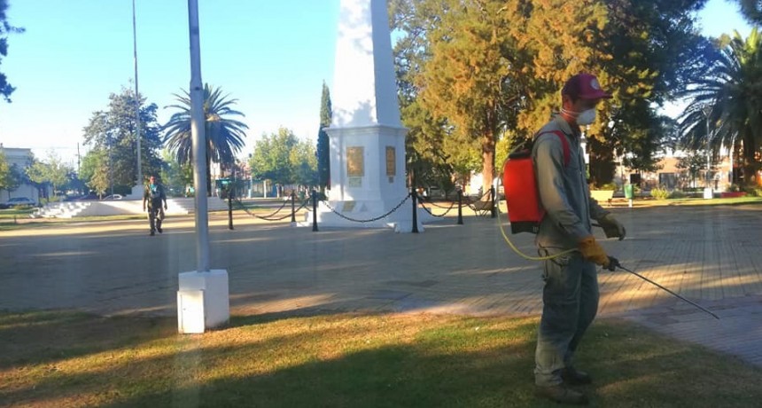  DENGUE: FUMIGAN ESPACIOS VERDES EN VICTORICA