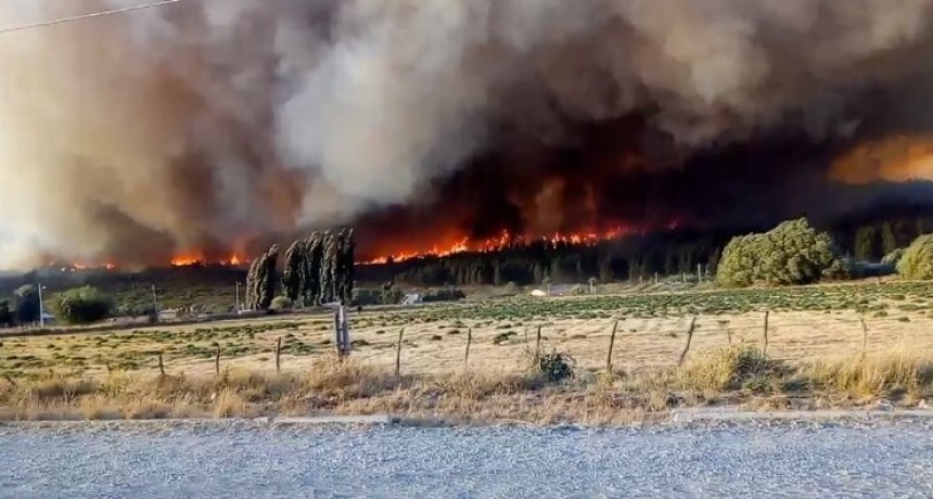 Incendios en la Patagonia: Chubut y Río Negro registran focos activos, hay heridos y cientos de evacuados 