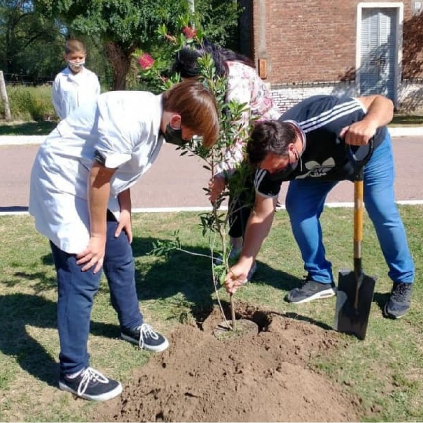 CARRO QUEMADO: PLANTAMOS MEMORIA