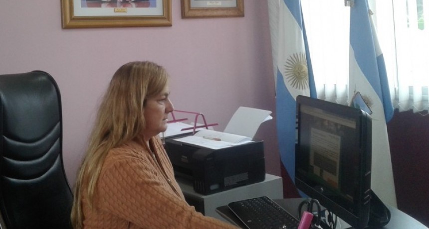 PRO VIDA INVIERNO: MONICA VALOR POR ZOOM CON EL MINISTERIO DE DESARROLLO SOCIAL