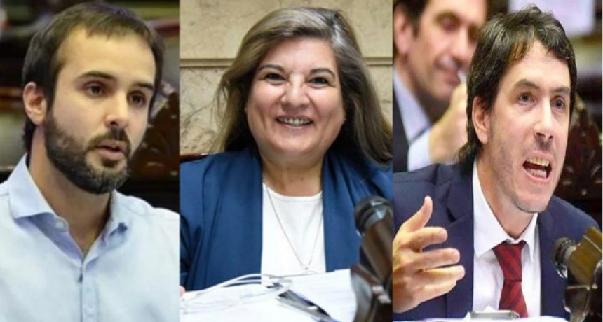 Legisladores pampeanos de la oposición votaron en contra de la moratoria previsional 