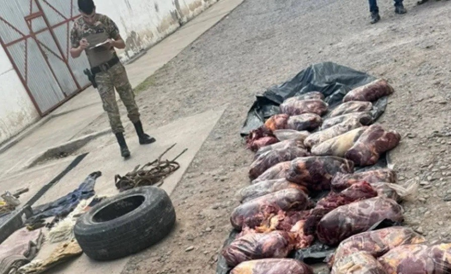 Mataron a cinco caballos y los faenaron para vender la carne