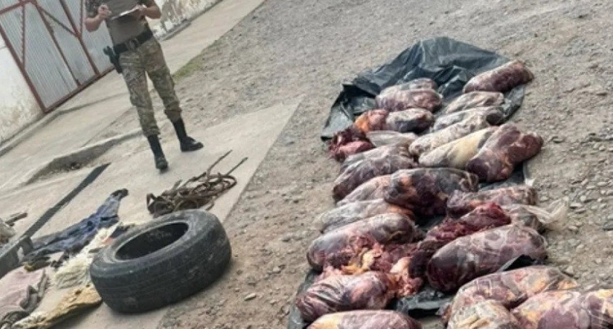 Mataron a cinco caballos y los faenaron para vender la carne