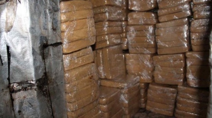 ¿Las ratas se comieron la marihuana que había sido incautada?