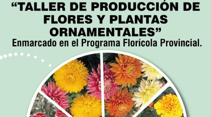 TALLER DE PRODUCCIÓN DE FLORES Y PLANTAS ORNAMENTALES