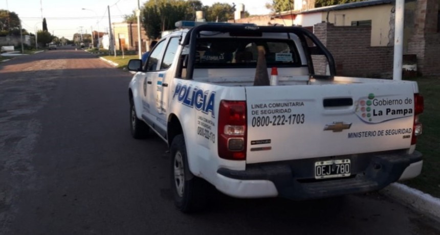 VICTORICA: ATACAN A VECINA, LE MATAN EL PERRO POR DEFENDERLA Y SECUESTRAN PLANTA DE MARIHUANA
