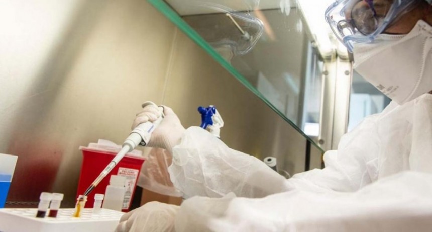 Primera foto del coronavirus que circula en Argentina