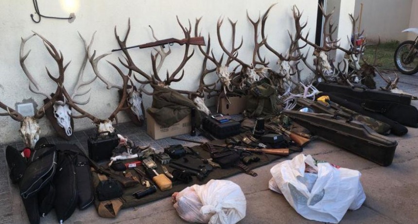 La policía secuestró 19 cabezas de ciervo colorado, 13 armas de fuego y diversos elementos utilizados para la caza ilegal en cercanías de Telén