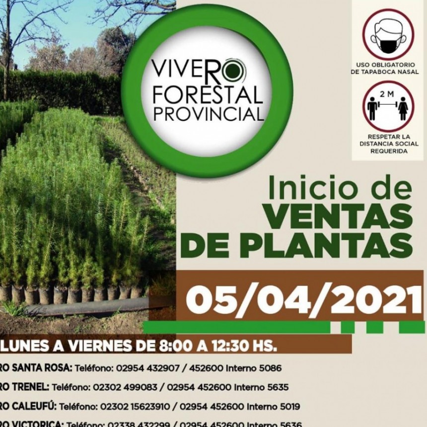 Reabre el vivero provincial en Victorica y demás localidades