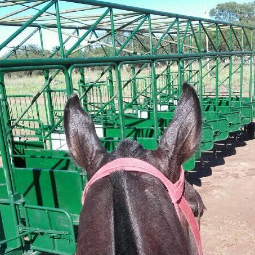 VICTORICA: SE CONFORMÓ NUEVA COMISIÓN DEL CLUB HÍPICO PORTÓN DEL OESTE