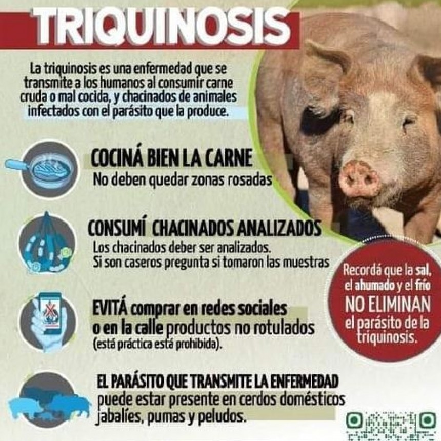TRIQUINOSIS: CONSEJOS IMPORTANTES