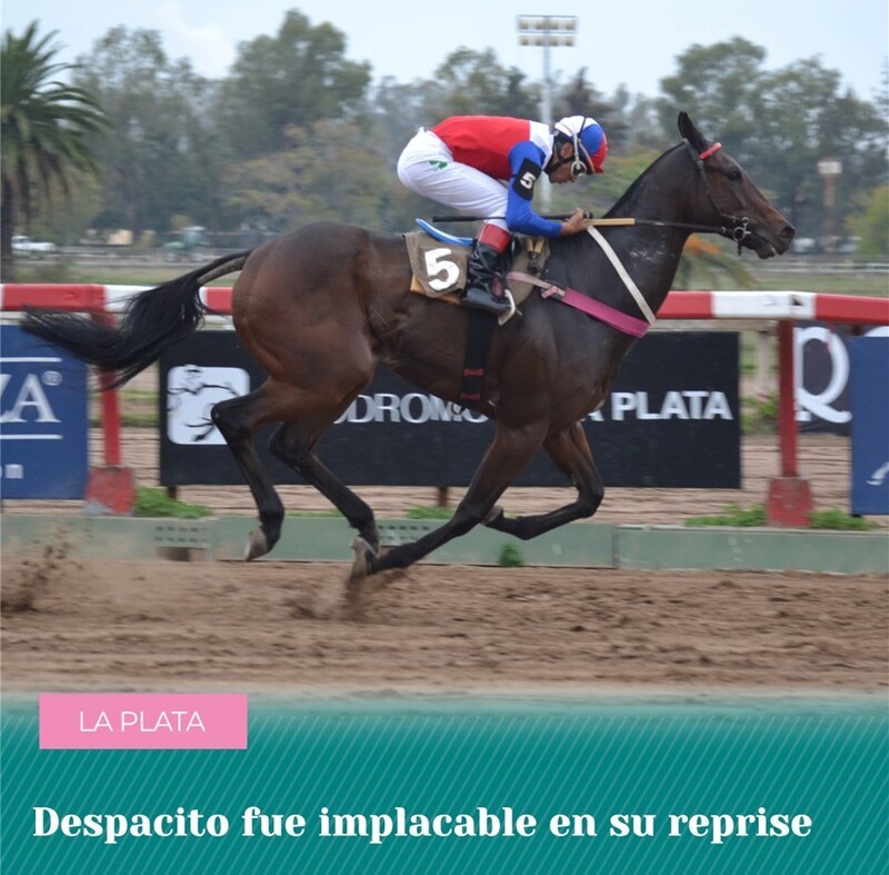 Propiedad de Victoriquenses, Despacito fue implacable en su reprise en La Plata