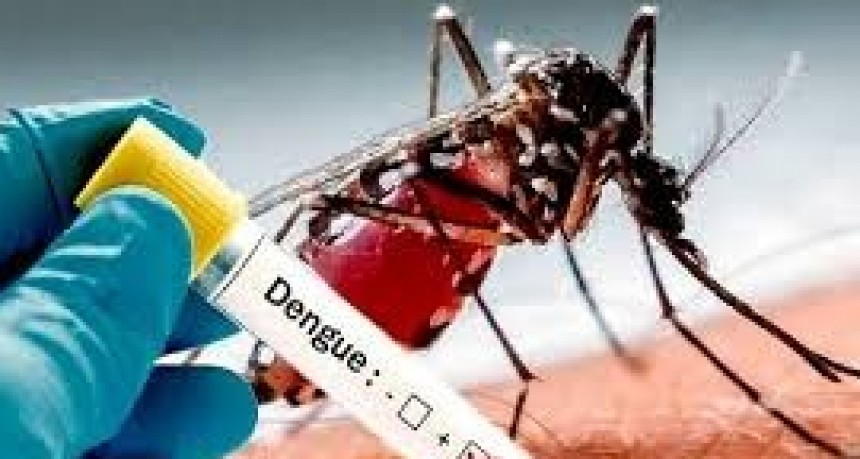 San Luis superó la barrera de los 1000 casos autóctonos de dengue: el 70% son de Villa Mercedes