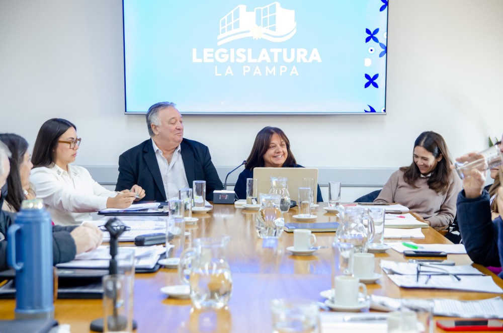 La Legislatura emiti&oacute; dictamen mayoritario para la Ley de Emergencia en Salud Mental