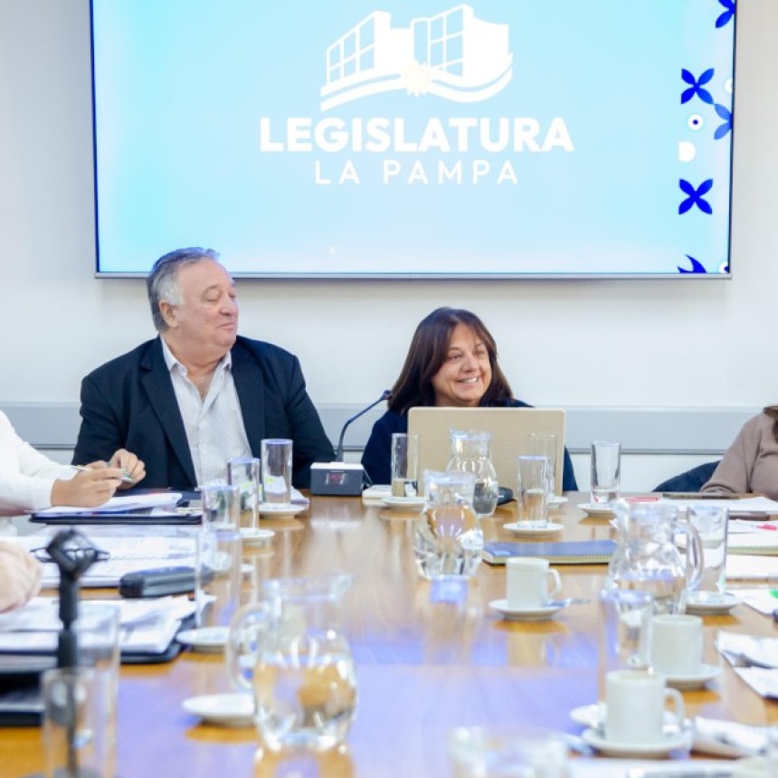 La Legislatura emiti&oacute; dictamen mayoritario para la Ley de Emergencia en Salud Mental