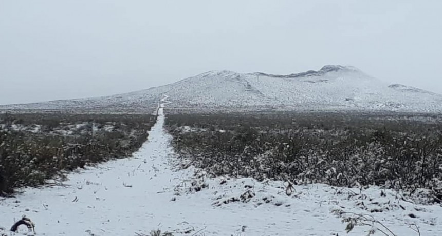ESPECTACULAR NEVADA EN CERRO NEGRO 