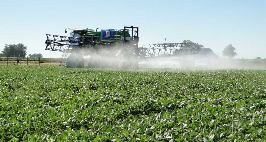 La Pampa prohibió el uso de dos potentes herbicidas	