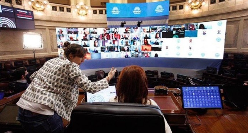 Maria Luz Alonso presente en la prueba en el Senado para la primera sesión virtual