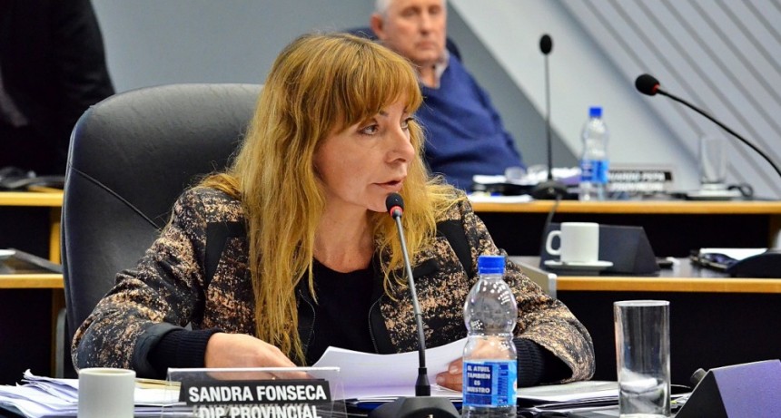 Fonseca: “lo de Gianinetto es una gravísima conducta institucional contra el derecho de la niña”